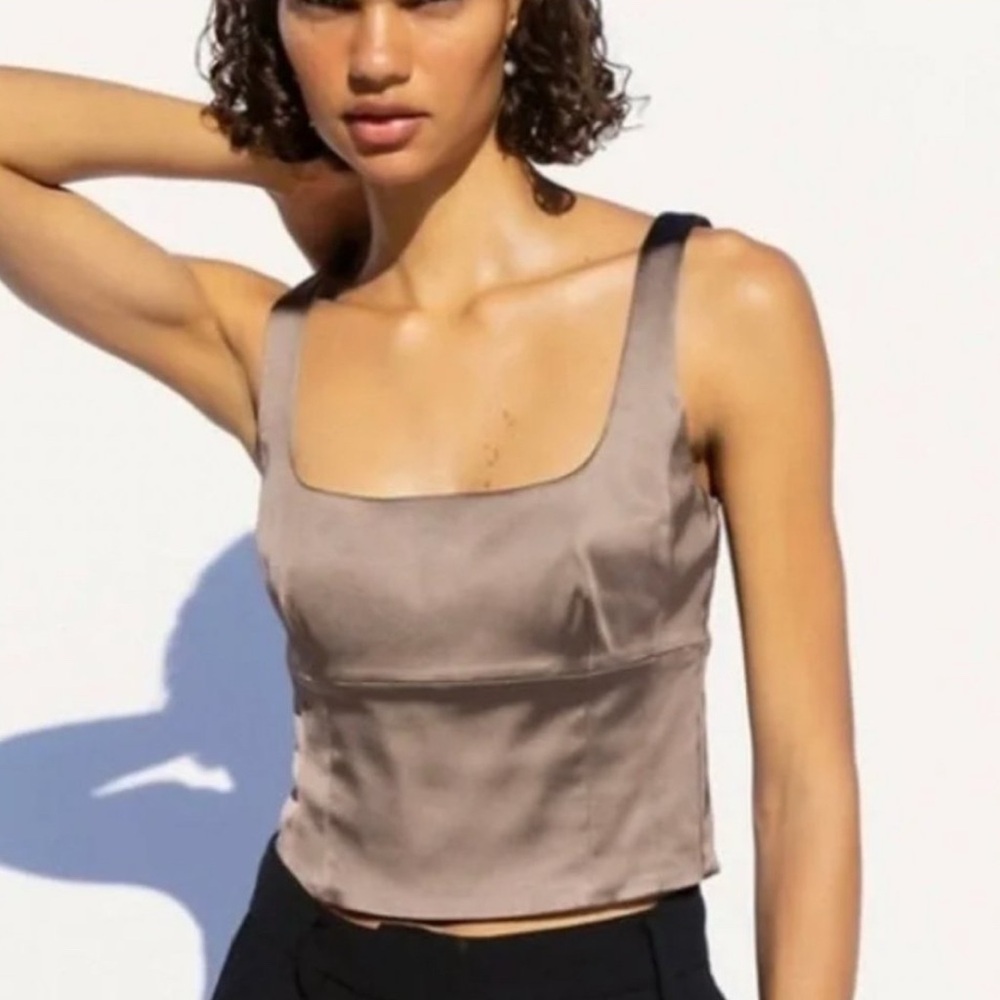 Aritzia Wilfred Women’s Dove Mauve Shine Bustier